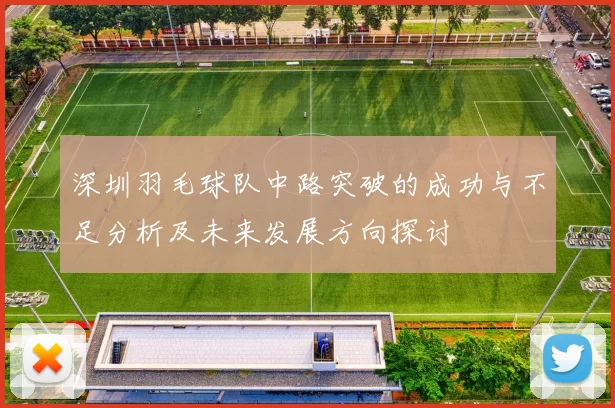 深圳羽毛球队中路突破的成功与不足分析及未来发展方向探讨