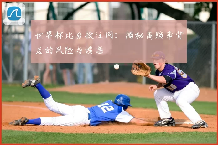 世界杯比分投注网:揭秘高赔率背后的风险与诱惑