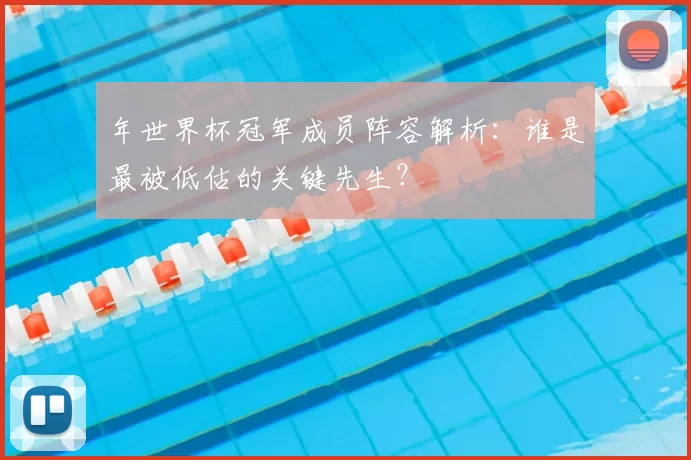 年世界杯冠军成员阵容解析:谁是最被低估的关键先生?