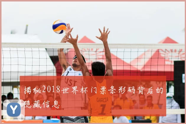 揭秘2018世界杯门票条形码背后的隐藏信息