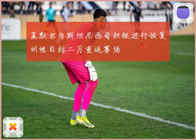 莱默尔与斯坦尼西奇积极进行恢复训练目标二月重返赛场