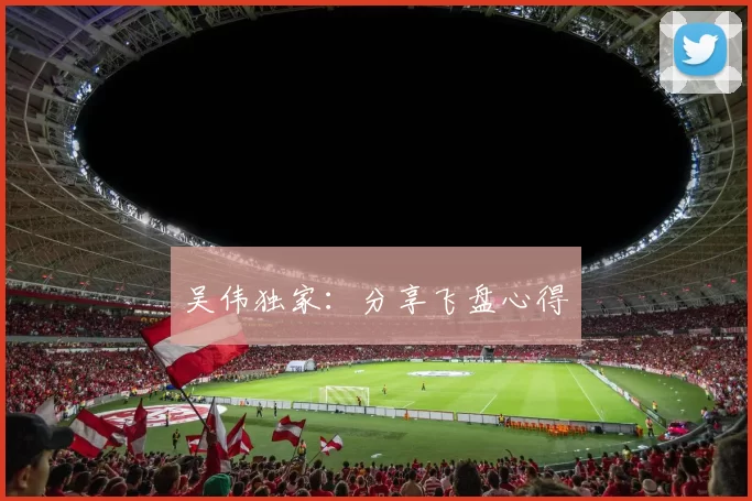 吴伟独家：分享飞盘心得