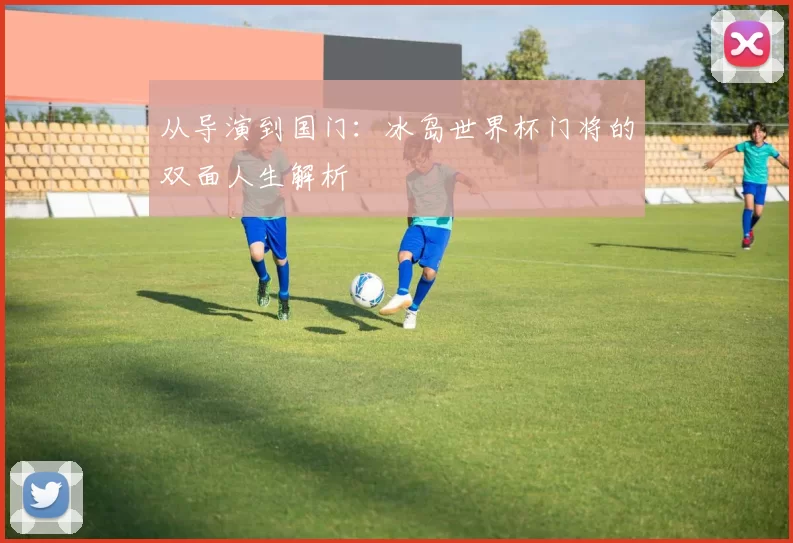 从导演到国门:冰岛世界杯门将的双面人生解析