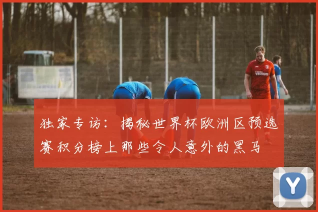 独家专访:揭秘世界杯欧洲区预选赛积分榜上那些令人意外的黑马