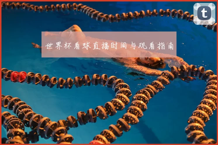 世界杯看球直播时间与观看指南