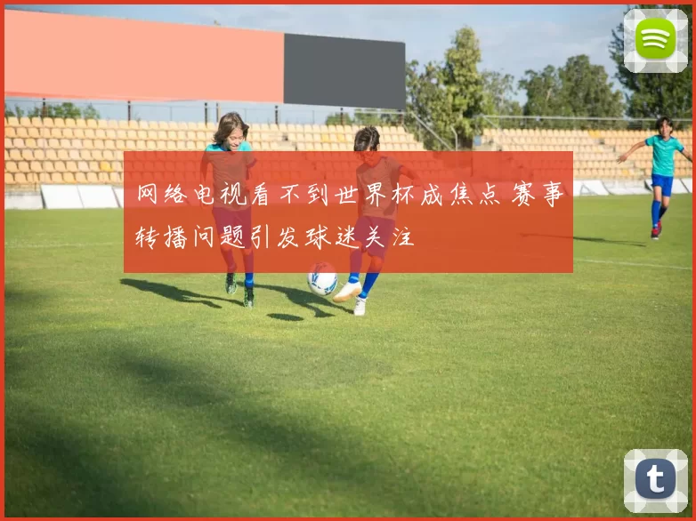 网络电视看不到世界杯成焦点 赛事转播问题引发球迷关注