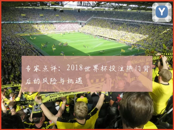 专家点评:2018世界杯投注热门背后的风险与机遇