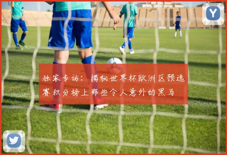 独家专访：揭秘世界杯欧洲区预选赛积分榜上那些令人意外的黑马