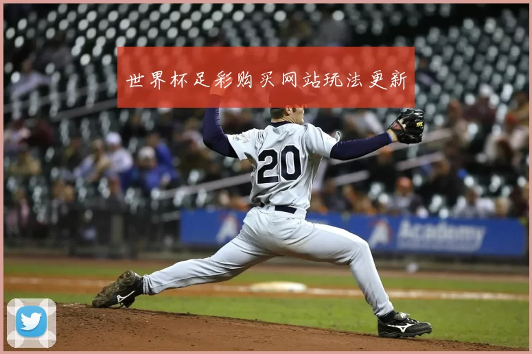 世界杯足彩购买网站玩法更新