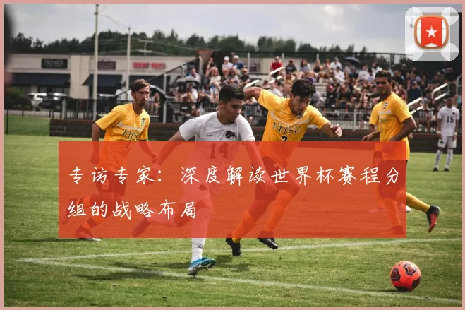 专访专家：深度解读世界杯赛程分组的战略布局