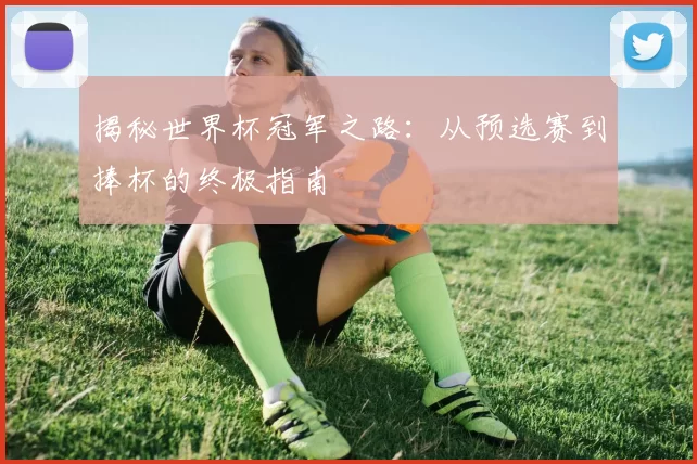 揭秘世界杯冠军之路：从预选赛到捧杯的终极指南