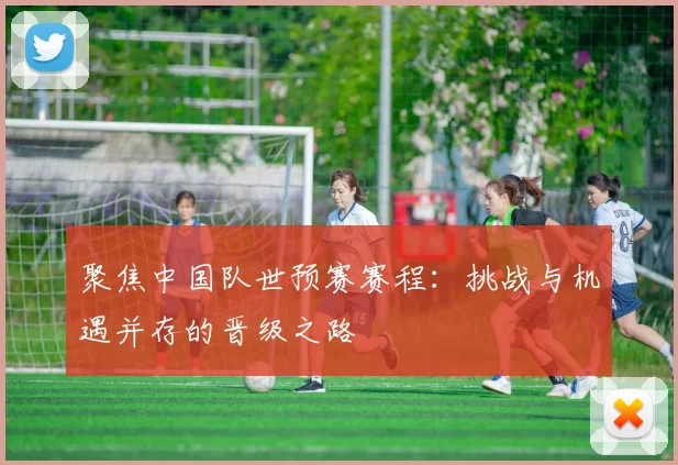 聚焦中国队世预赛赛程：挑战与机遇并存的晋级之路