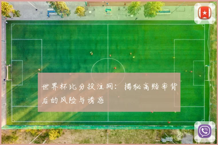 世界杯比分投注网：揭秘高赔率背后的风险与诱惑