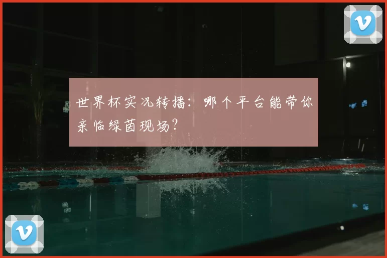 世界杯实况转播:哪个平台能带你亲临绿茵现场?