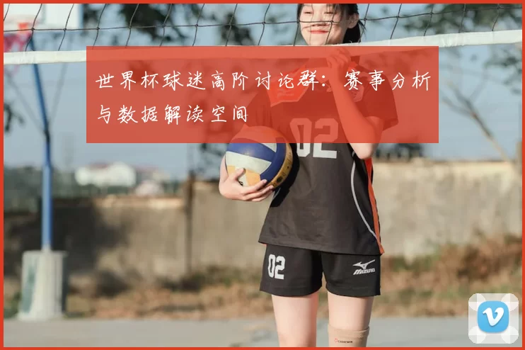 世界杯球迷高阶讨论群：赛事分析与数据解读空间