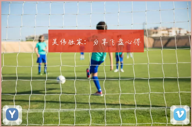 吴伟独家：分享飞盘心得