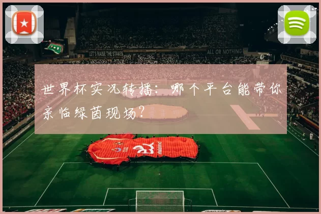 世界杯实况转播：哪个平台能带你亲临绿茵现场？
