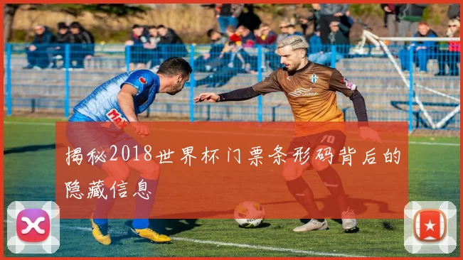 揭秘2018世界杯门票条形码背后的隐藏信息